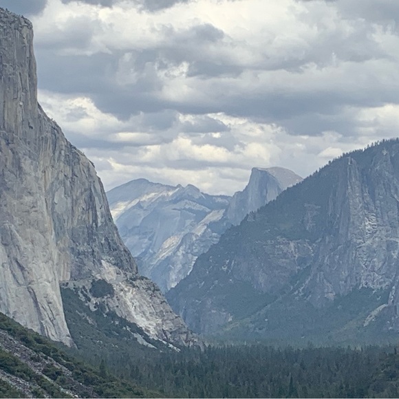 Meet your Posher, Megan - Picture 3 of 3